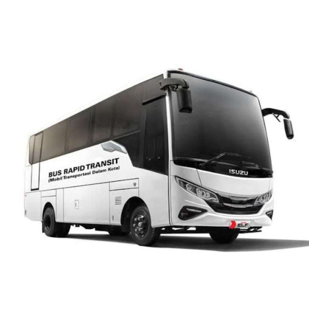 ISUZU NQR B E4 (BUS MEDIUM)